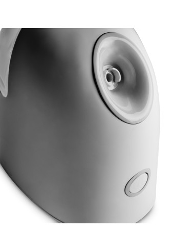 Facial steamer basic